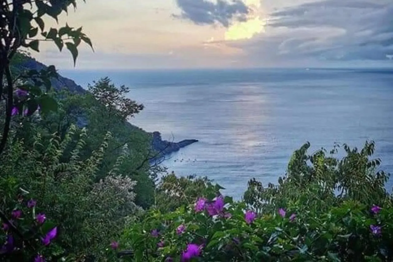 Appartement Rosablu Vacanza Tra Mare E Parco Di Portofino Camogli Italie